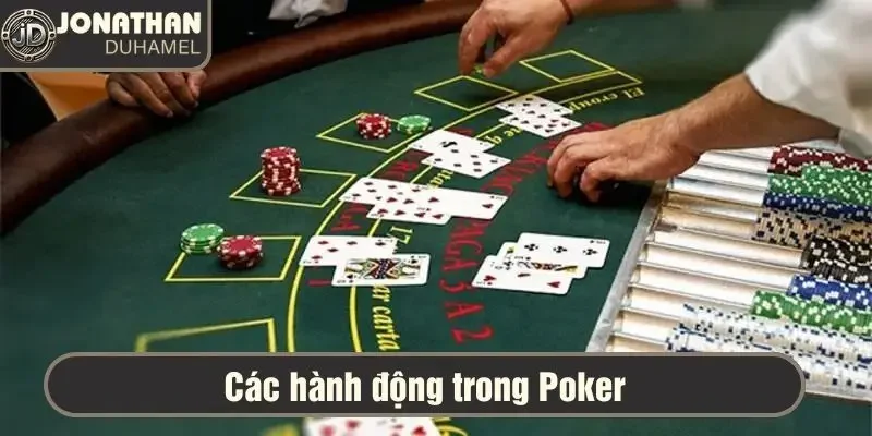 Hướng dẫn poker cơ bản: Cách bắt đầu chơi chuyên nghiệp 4 Các hành động trong mỗi vòng cược